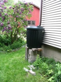 rain-barrel-with-lilac.jpg