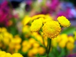 3-ways-to-reduce-allergies-without-medication.jpg