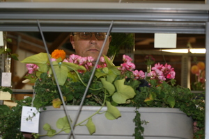 Chelsea_Fair_Ron_Stoffer_plants.JPG