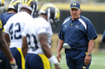 GREG-MATTISON.jpg