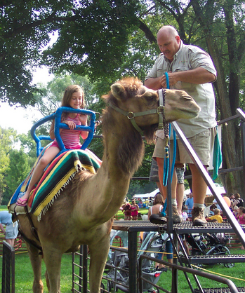 Gunner-the-camel.jpg