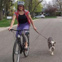 Levitt-bike-riding-with-dog