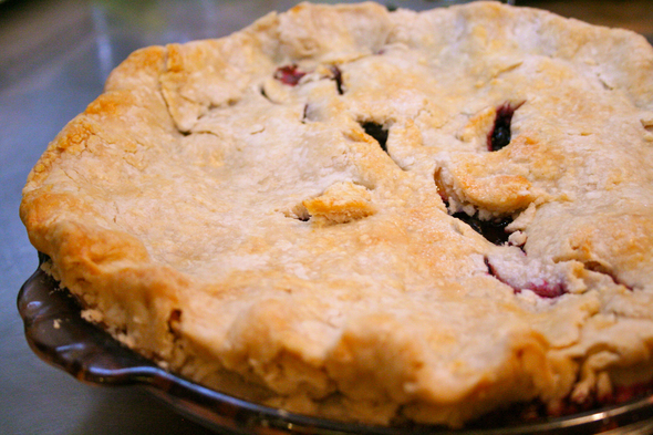 webster-blueberry-pie.jpg