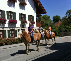 Lundberg-Haflinger-Bernried-August-2011