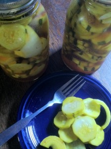 refrigeratorpickles-224x300.jpg