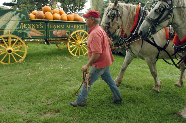 Jenny's_farm_market.jpg