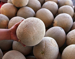 Listeria_Cantaloupe.JPG