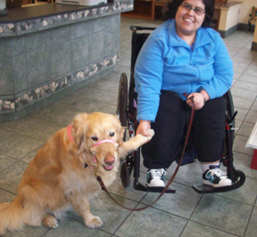 jessica-belle-lobby-ann-arbor-animal-hospital.jpg