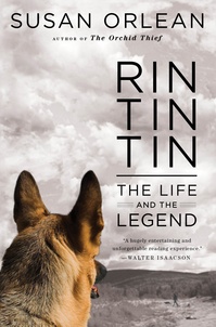 rin-tin-tin-orlean.jpg