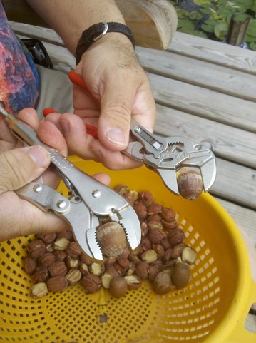 pliers.jpg
