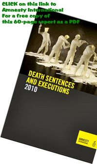 0929 Amnesty International report.jpg