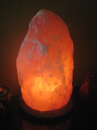 1013_Back-to-the-Roots-lamp.jpg