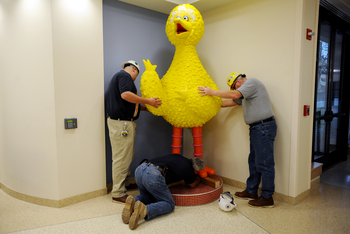 Thumbnail image for 102711_NEWS_Big_Bird_MRM_01.jpg