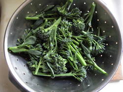 Broccoli in colander.jpg