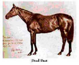 Lundberg-Horse-Steel-Dust-Ann-Arbor-2011-Quarter-Horse