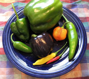 Peppers2011.jpg