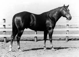 Lundberg-Horse-Quarter-Wimpy-Ann-Arbor-2011