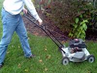 lawn mower 2.jpg