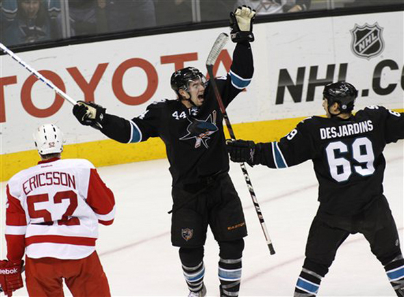 SHARKS.jpg
