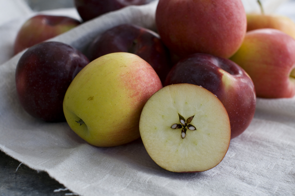 apple_thanksgiving_AP.jpg