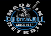 made in detroit lions shirt