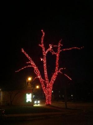 holiday-light-tree.jpg