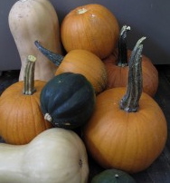 squashinpile_213x300.jpg