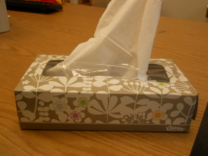 Verges-tissue-box.JPG