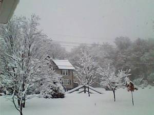 winter scene.jpg