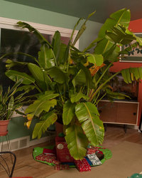 20111215-CRW_8907E_45W.jpg