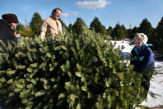 Arend_Tree_Farms_Ethan_Ward.JPG