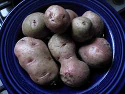 Potatoes.jpg
