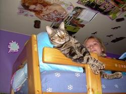 Thumbnail image for Ann-Arbor-Animal-Hospital-Ruger-Recovered-at-home.jpg
