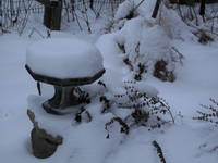 WinterBirdbath.jpg