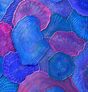 Zupanick_colors72.jpg