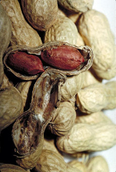 Peanuts.jpg