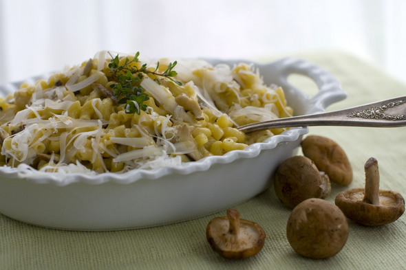 miso_mac_and_cheese_AP.jpg
