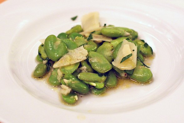 fava_beans_salad_webster.jpg