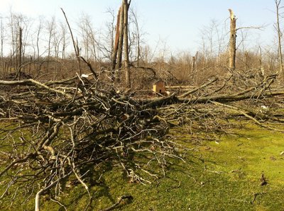 Hudson_Mills_Metropark_golf_course_tornado_damage.jpg