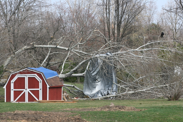 tarp_in_tress_Carriage_Hills.JPG