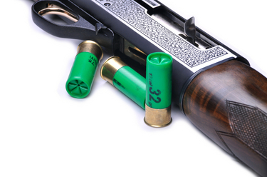 040512_shotgun.jpg