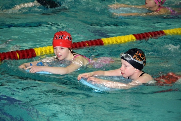 Dexter_swimmers.jpg