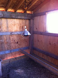 Lundberg-Ann-Arbor-2012-Heat-Lamp