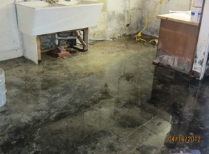 House_sewage_basement.jpg