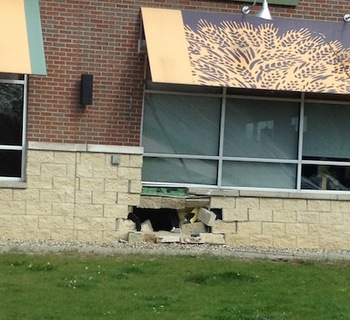 Panera_car_aftermath.jpg