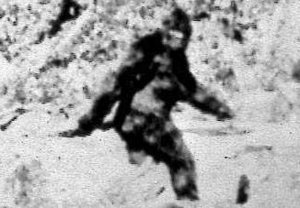 bigfoot_AP.jpg