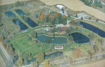 Aerial-photo-trout-farm.jpg