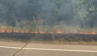 Grass_fire_M-14.jpg