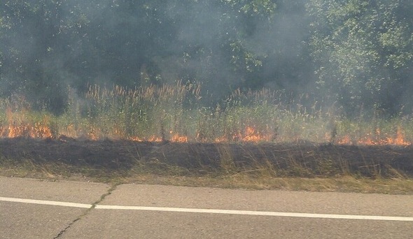 Grass_fire_M-14.jpg