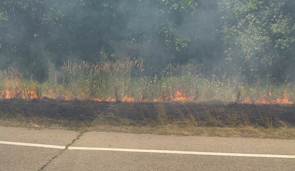 Grass_fire_M-14.jpg